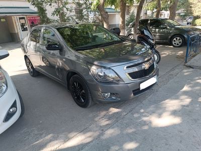 Cobalt Midnight 2025