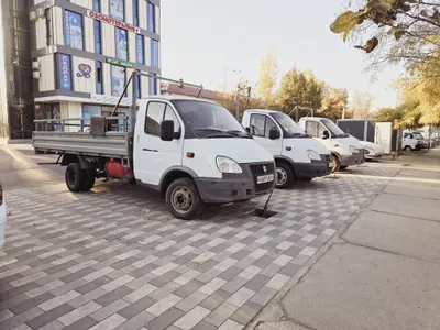 Gazel Gurzavoy Sotiladi