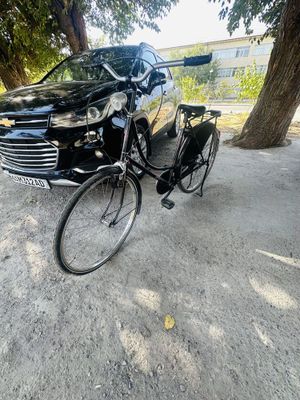 Голландский велик новый