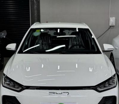 Byd e2 luxry full