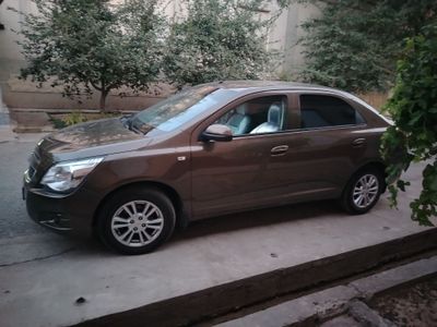 cobalt 2023 zeuss