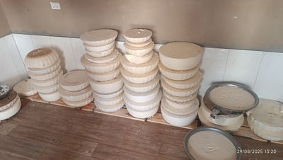 sifatli mol yogi bor