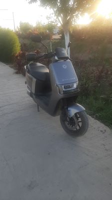 Narxi 13000000
