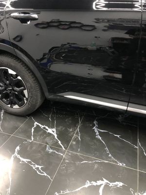 Kia sarento orqa eshik plasmasi