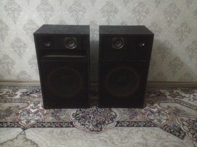 3 х полосные колонки с фазоенвертором.