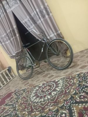 velosabet sotiladi