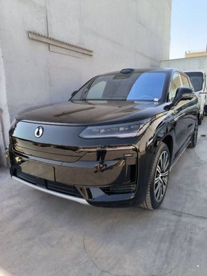 Denza n9 full notariusga tayyor