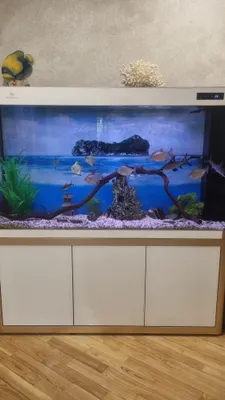 Продаётся привозной стеклянный аквариум