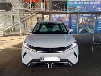 BYD Yuan Up 401 ev