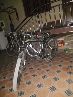 velosiped