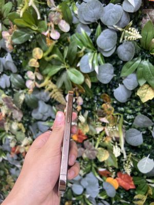 Iphone 13 pro голд
