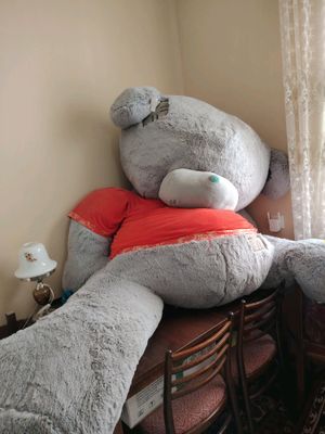 Teddy  kattasi 3 000 000 sum