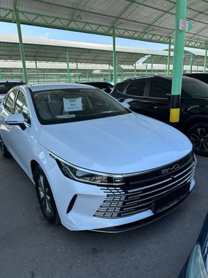 BYD chazor 2025