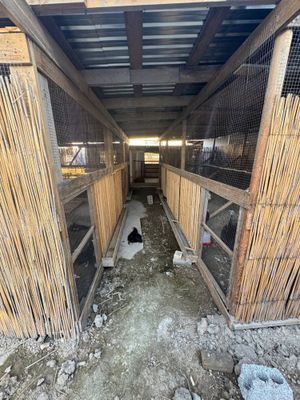 Бизнес-проект/ Янгихает/ 15 соток
