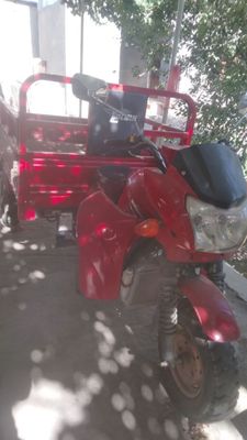 Lochin yuk matatsikil sotiladi