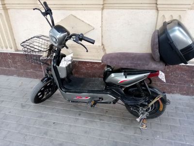 Skter electronni