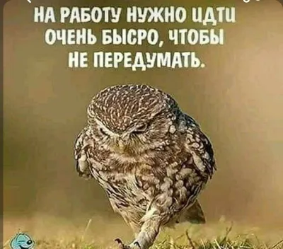 срочно требуется рабочие