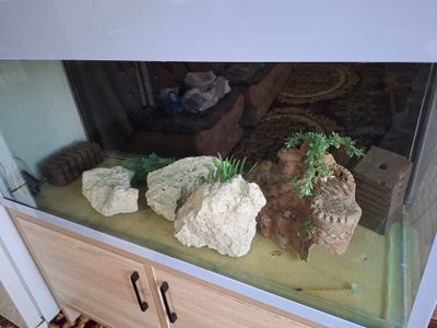 akvariyum