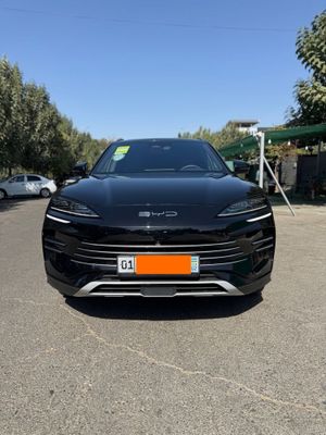 Byd champion Gibrid 2024