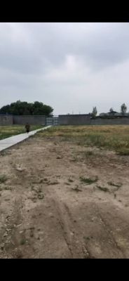 Тошкент вилояти Янгиюл туманида 10 гектарли жой Кадастр дойимига Но