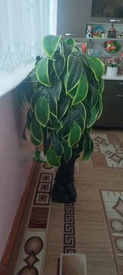 искусственный дерево