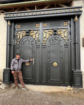 Barcha turdagi temir darvozalar
