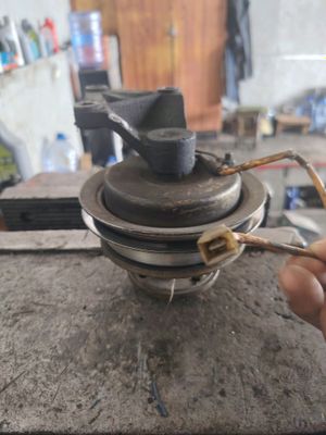 gazel gidra mufta