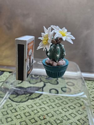 Кактусы сувенирные