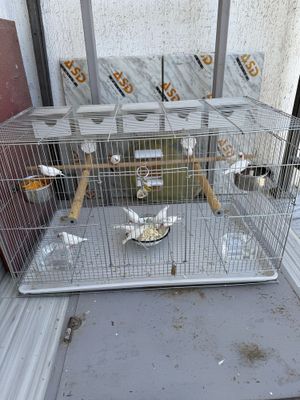 Амадинка с клеткой