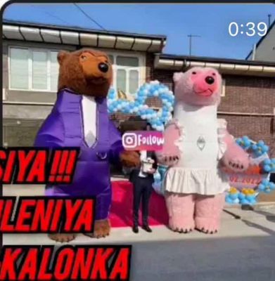 Ayiqlar sotladi sastayana yahshi