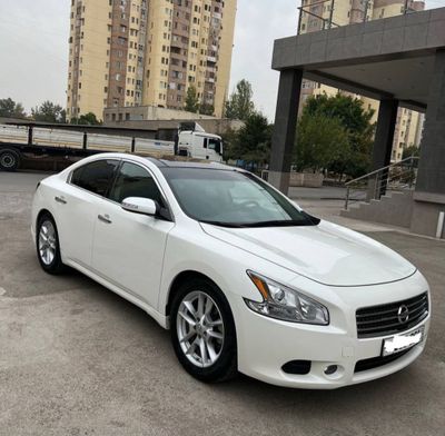 Nissan maxima tozza mashina javob