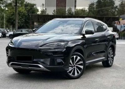 Byd champion 2024 EV