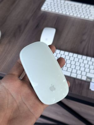 Magic mouse Apple