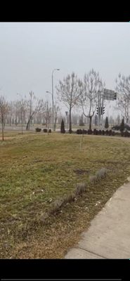 Yangi Uzbekiston Yer STOCHNA SOTILADI!!!