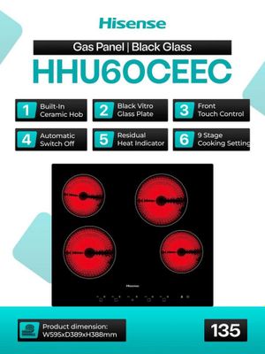 Электрическия панель HISENSE