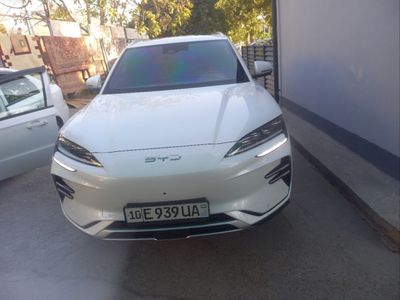 BYD. Чинпийон. ЙИЛ. 24+25.