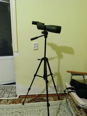 SvBoNY 25--75×70