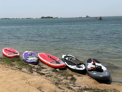SUP BOARD sotiladi