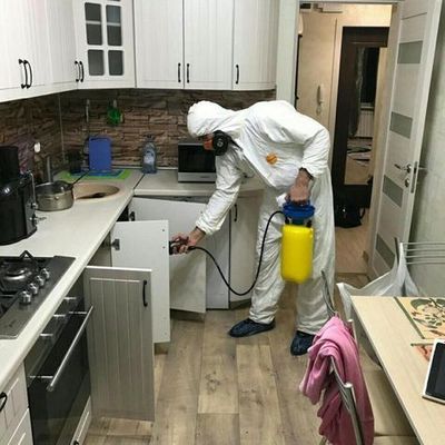 Dizenfeksiya tarakan dezinfeksiya klapa dezinfeksiya doğrilash klapaga