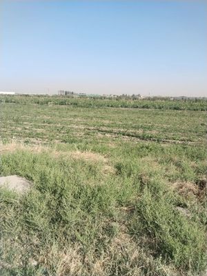 Продам земельный участок. Старые Сергели. 5 соток. По 11 500у.е