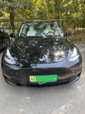 Tesla Model Y dual motor (USA)
