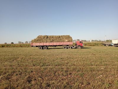 Камаз шаланда прицеп блан