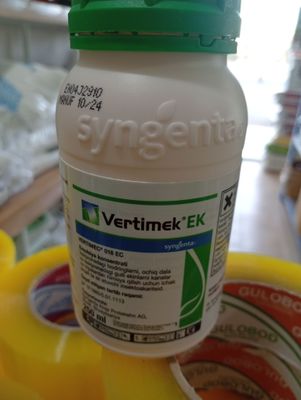 Vertimeks