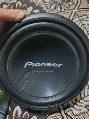 Pioneer champion