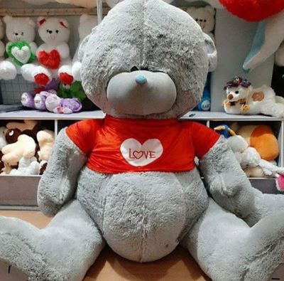 dona 250mingdan