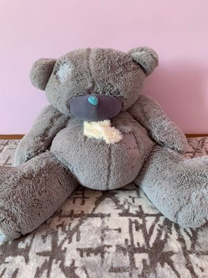 Teddy ayiq