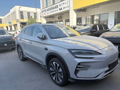 BYD smart Chempion 25/26