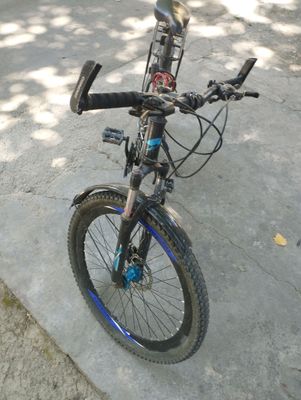 Drongo