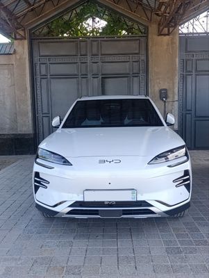 Byd Champion smart drive