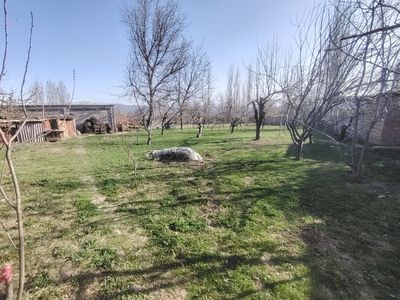 Yer sotiladi Oq towdan